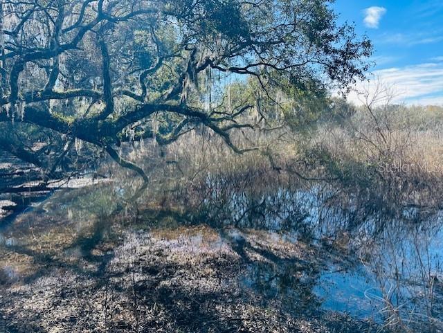 SE 41ST WAY, TRENTON, FL, 32693