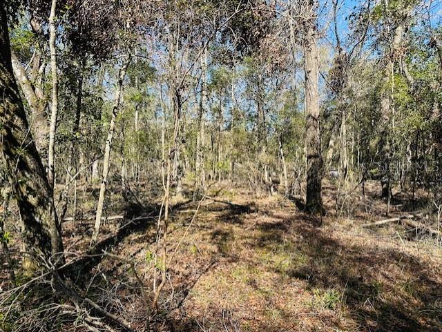 SE 41ST WAY, TRENTON, FL, 32693