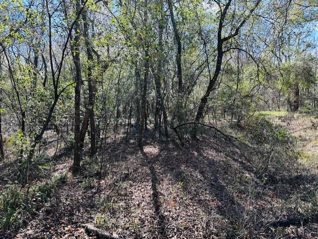 SE 41ST WAY, TRENTON, FL, 32693