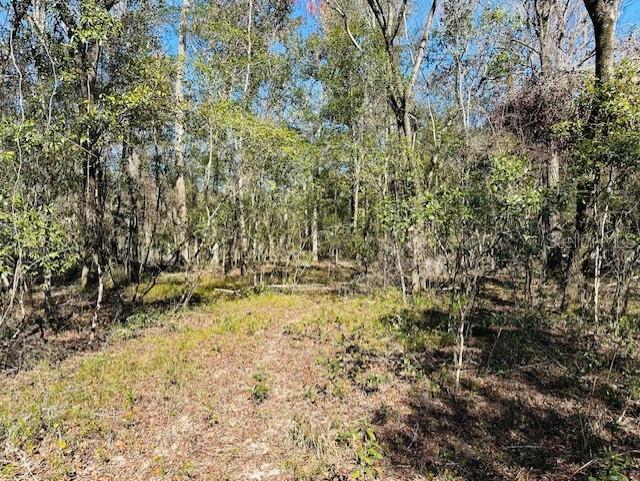 SE 41ST WAY, TRENTON, FL, 32693
