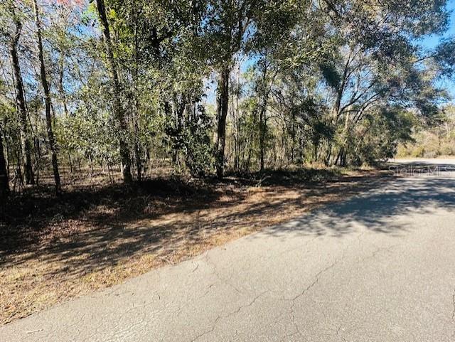 SE 41ST WAY, TRENTON, FL, 32693