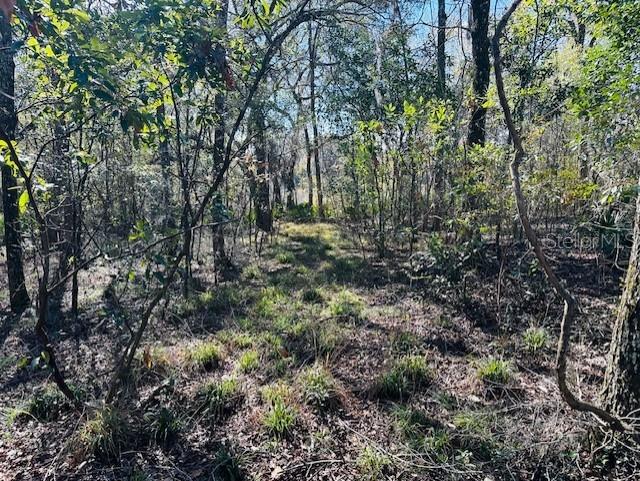 SE 41ST WAY, TRENTON, FL, 32693