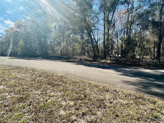 SE 41ST WAY, TRENTON, FL, 32693