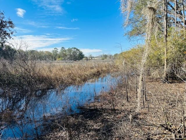 SE 41ST WAY, TRENTON, FL, 32693