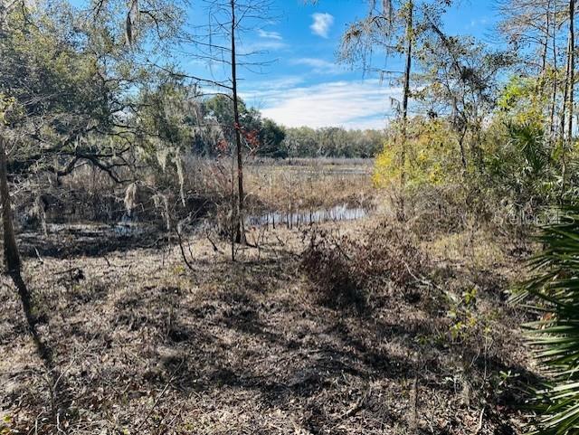 SE 41ST WAY, TRENTON, FL, 32693