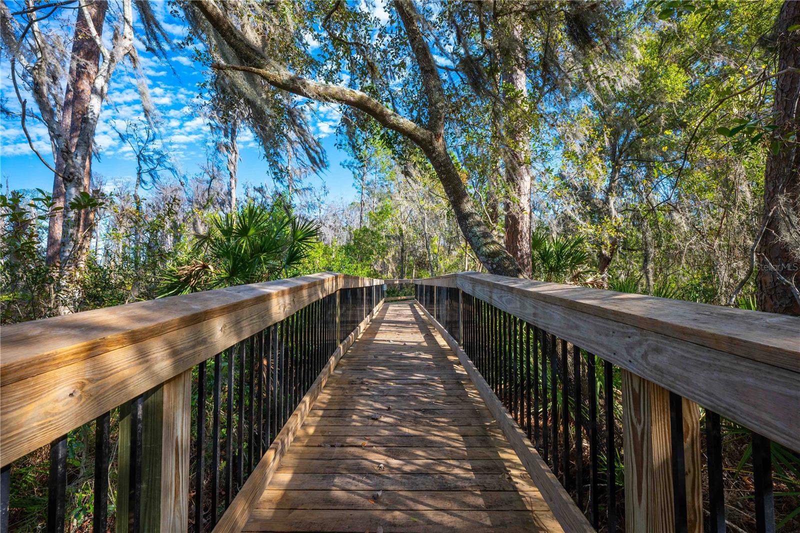 14310 SHOCKLACH DR, WINTER GARDEN, FL, 34787