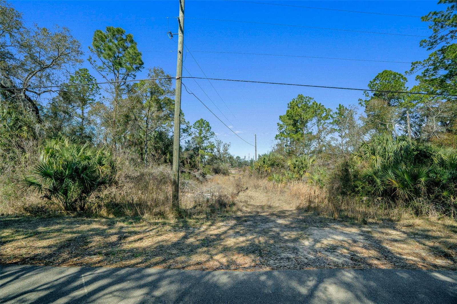 11067 W GEM ST, CRYSTAL RIVER, FL, 34428