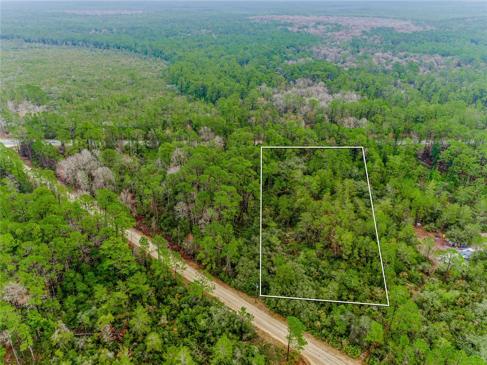 52215 STATE ROAD 19, ALTOONA, FL, 32702