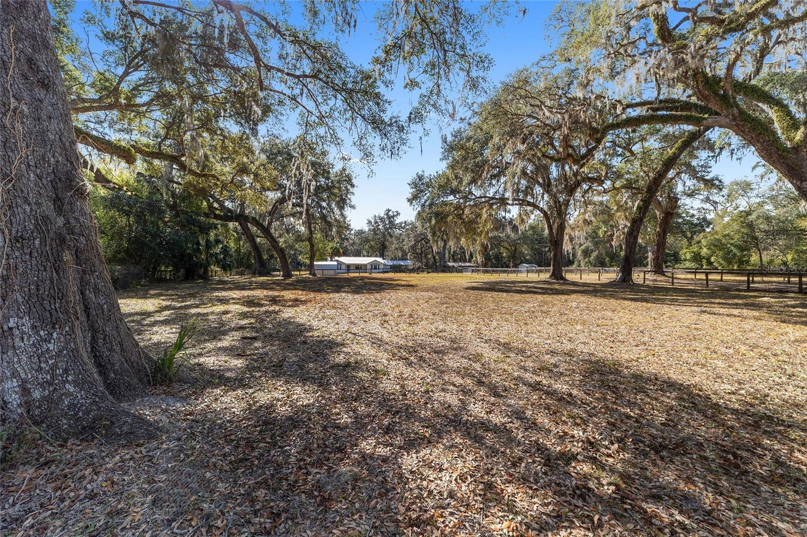 4250 E HIGHWAY 329, ANTHONY, FL, 32617