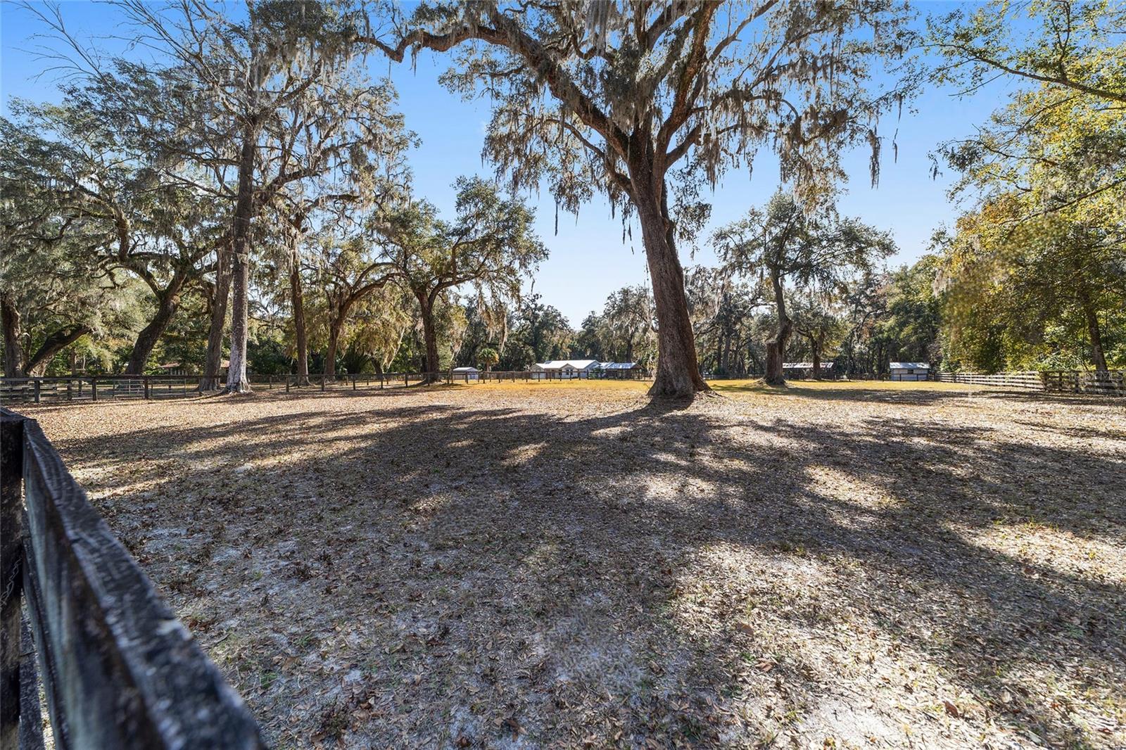 4250 E HIGHWAY 329, ANTHONY, FL, 32617