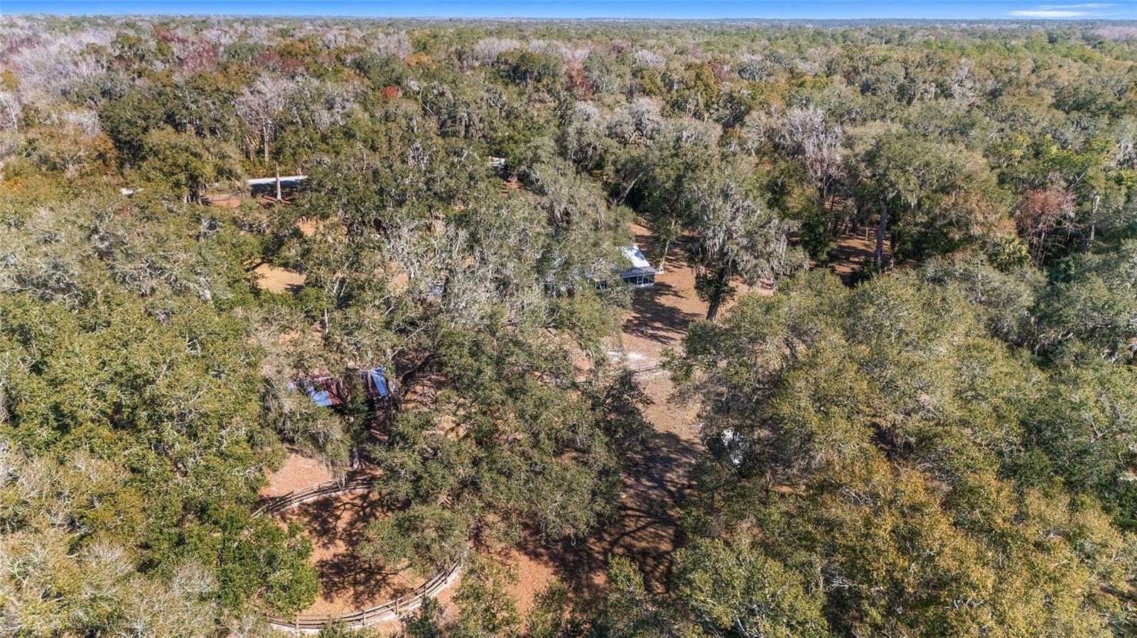 4250 E HIGHWAY 329, ANTHONY, FL, 32617