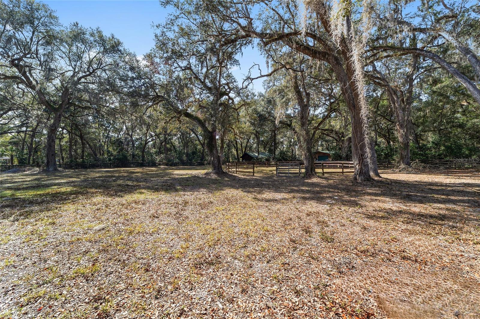 4250 E HIGHWAY 329, ANTHONY, FL, 32617