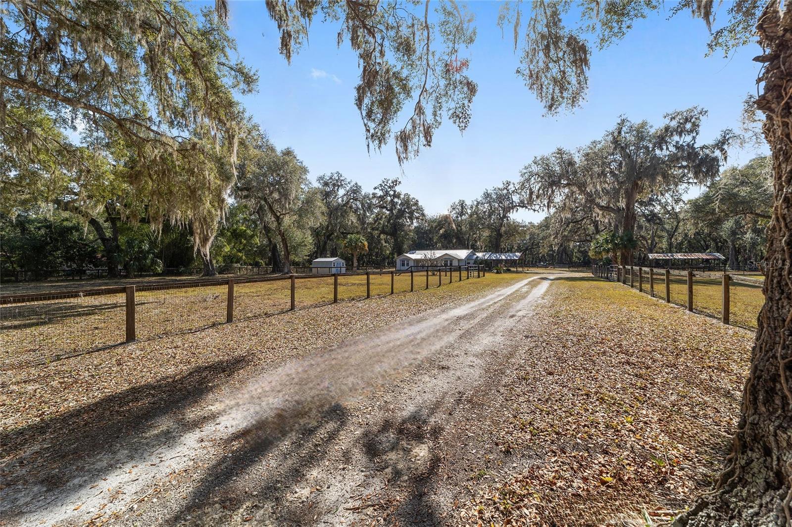 4250 E HIGHWAY 329, ANTHONY, FL, 32617