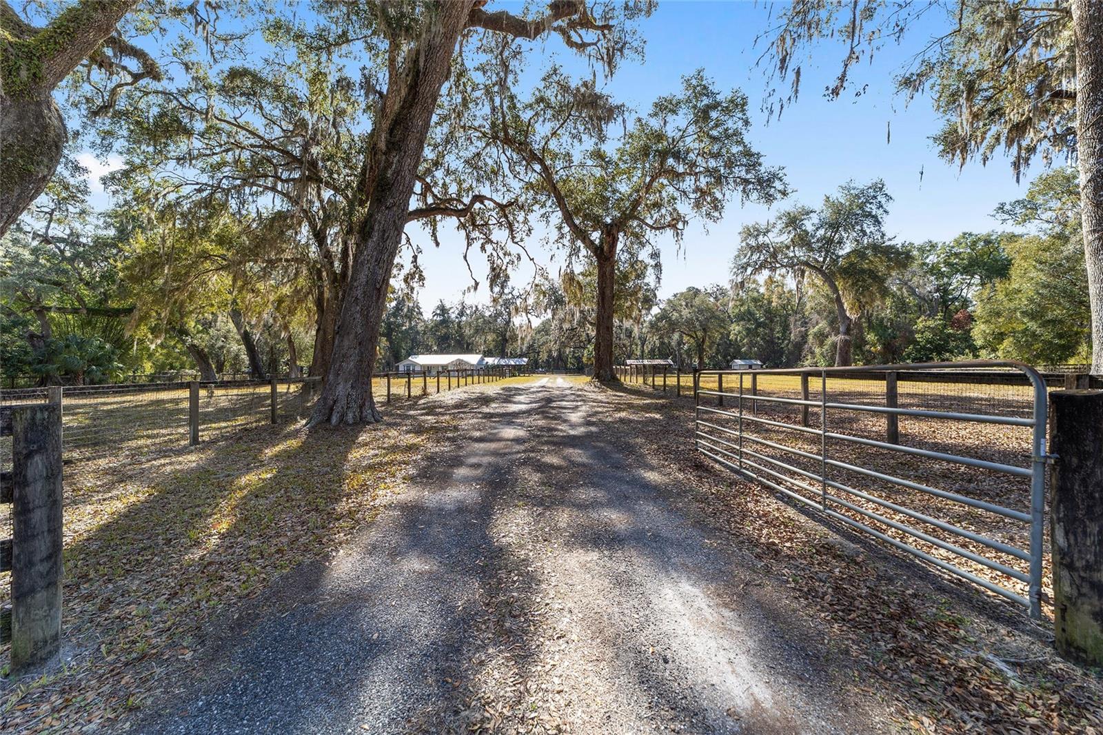 4250 E HIGHWAY 329, ANTHONY, FL, 32617