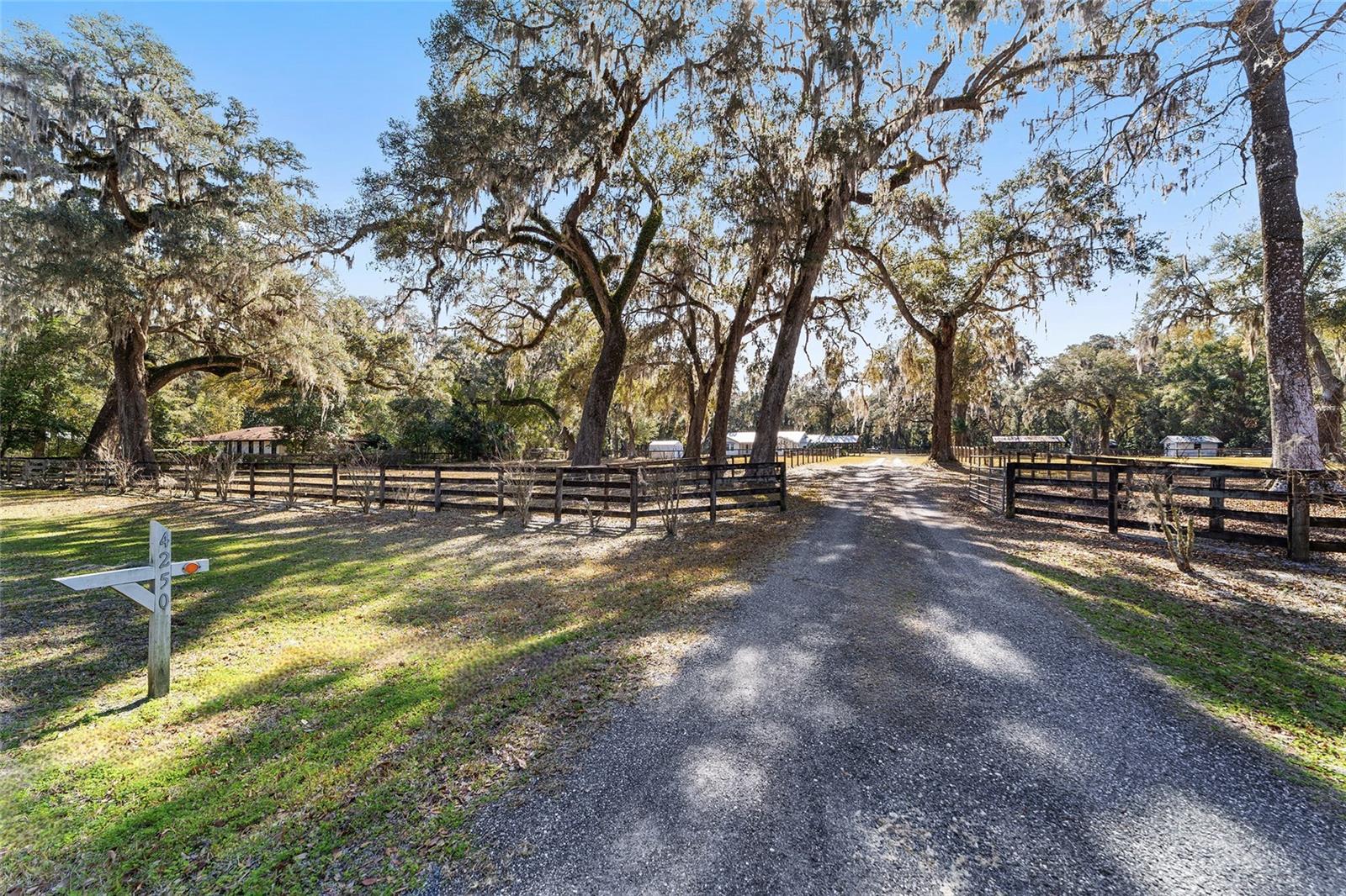 4250 E HIGHWAY 329, ANTHONY, FL, 32617