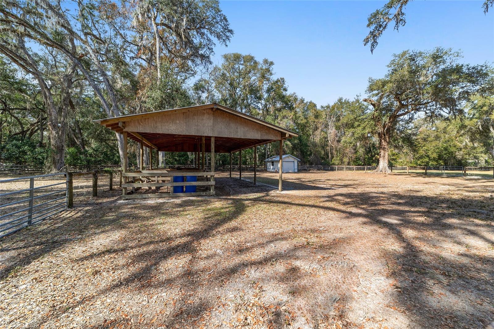 4250 E HIGHWAY 329, ANTHONY, FL, 32617