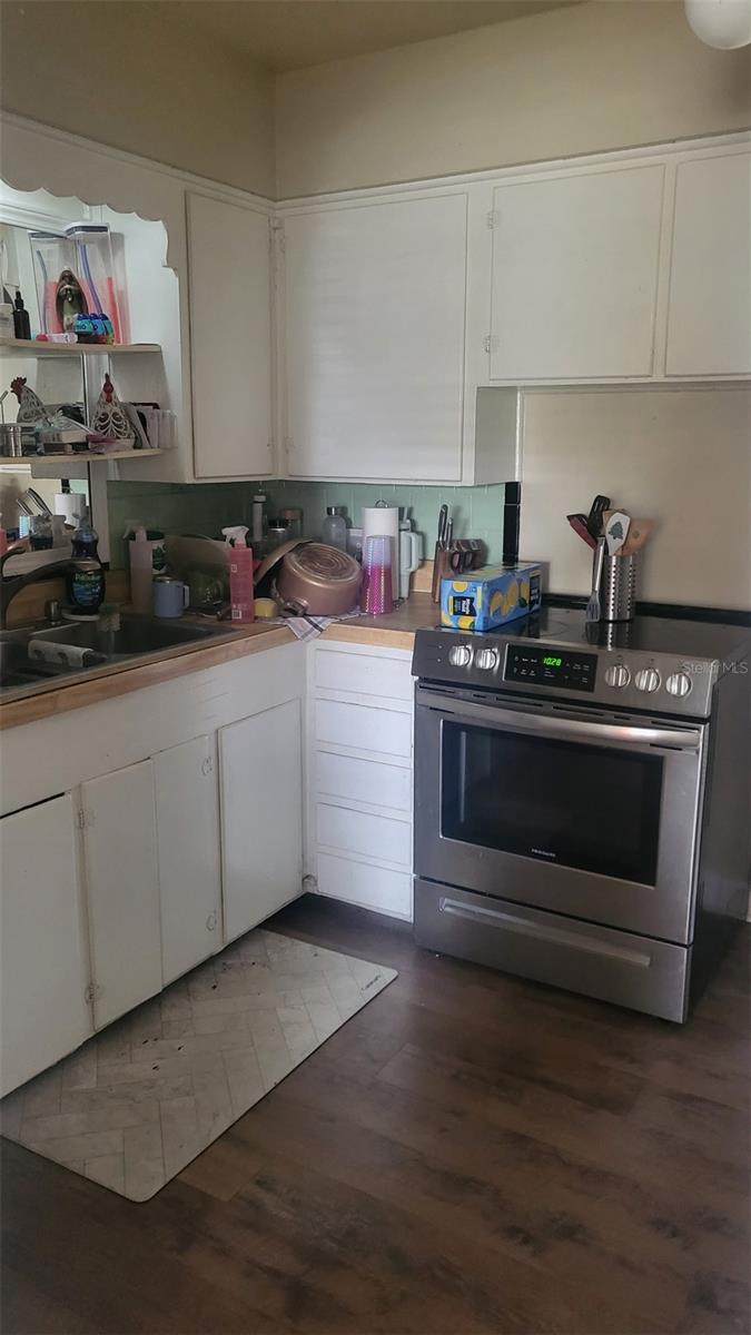 308 KERNEYWOOD ST, LAKELAND, FL, 33803