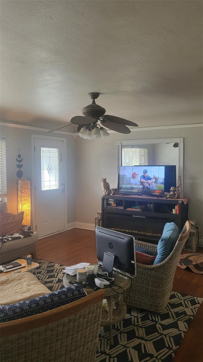 308 KERNEYWOOD ST, LAKELAND, FL, 33803