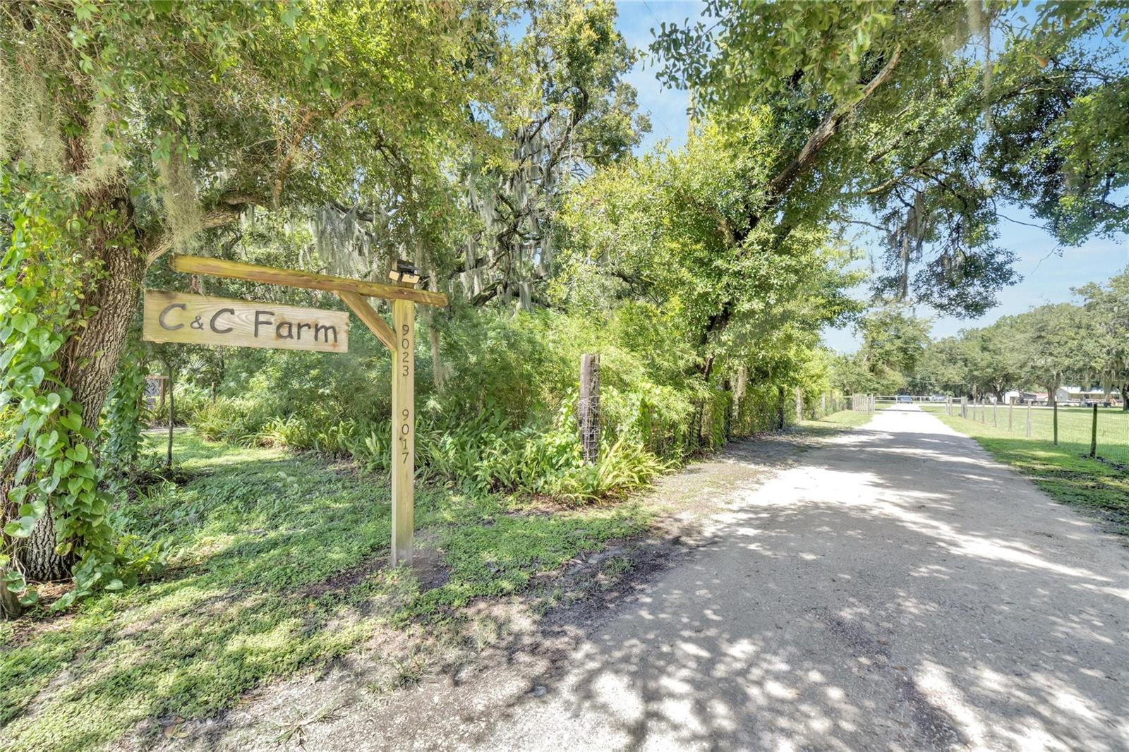 9015 S COUNTY LINE RD, LITHIA, FL, 33547