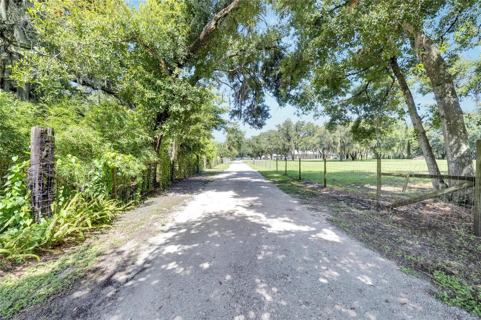 9015 S COUNTY LINE RD, LITHIA, FL, 33547