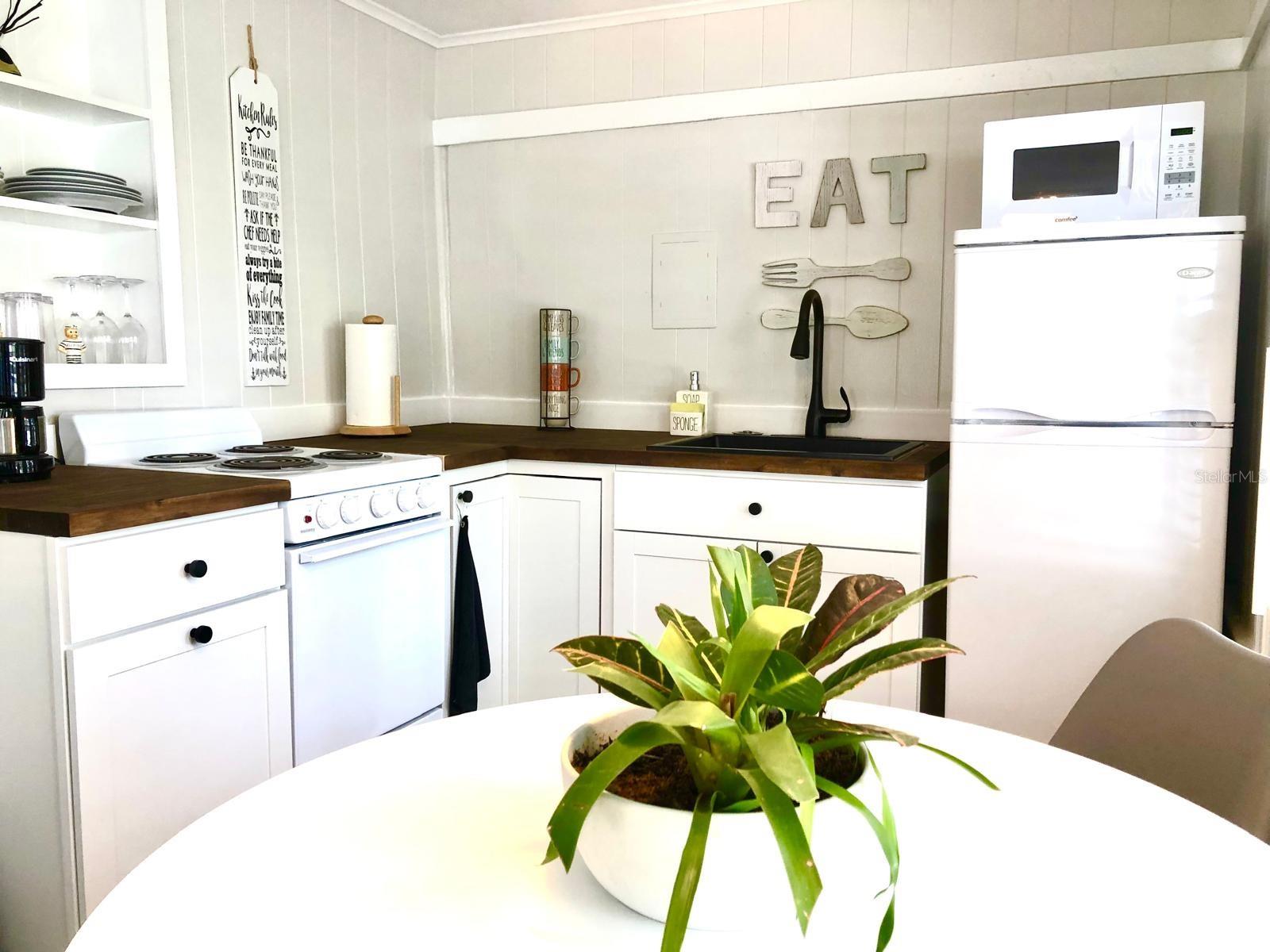 311 N BAKER ST, MOUNT DORA, FL, 32757