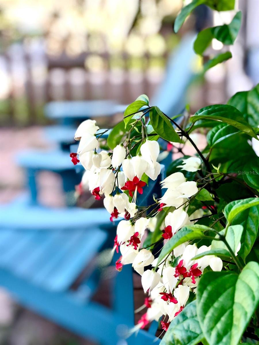 311 N BAKER ST, MOUNT DORA, FL, 32757
