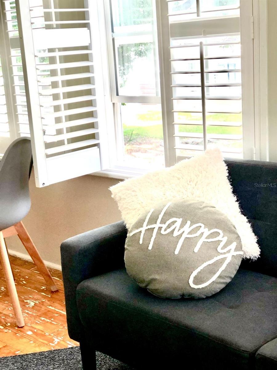 311 N BAKER ST, MOUNT DORA, FL, 32757