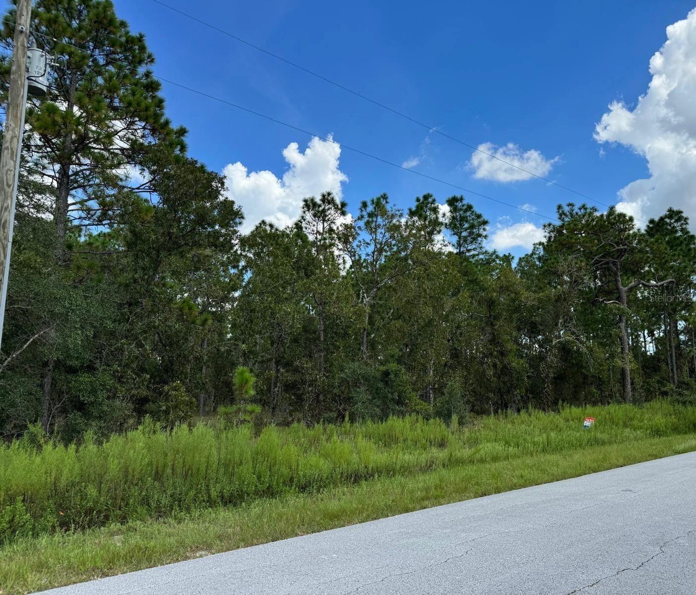 TBD LOT 39 SW VIBEURNUM RD, DUNNELLON, FL, 34431