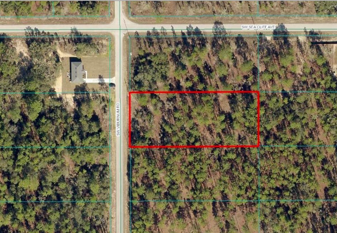 TBD LOT 39 SW VIBEURNUM RD, DUNNELLON, FL, 34431