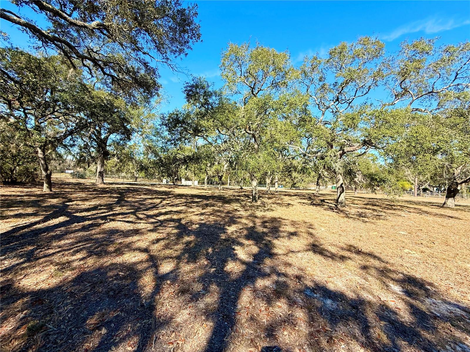 17504 MAGGIE CT, SPRING HILL, FL, 34610