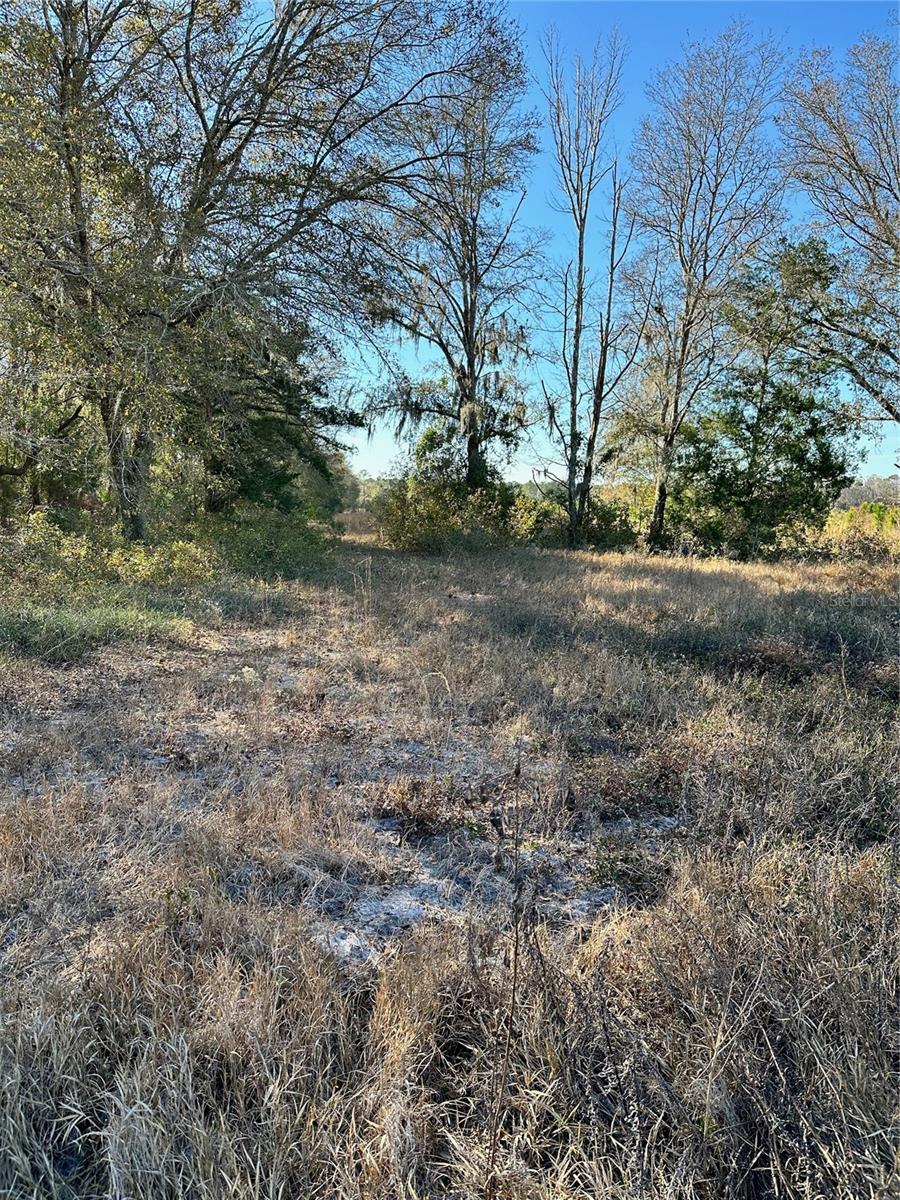 00 COUNTY ROAD 1471 RD, WALDO, FL, 32694