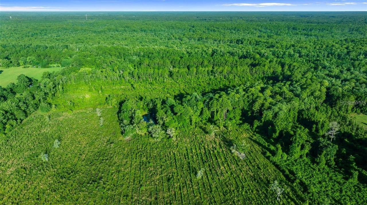 00 COUNTY ROAD 1471 RD, WALDO, FL, 32694