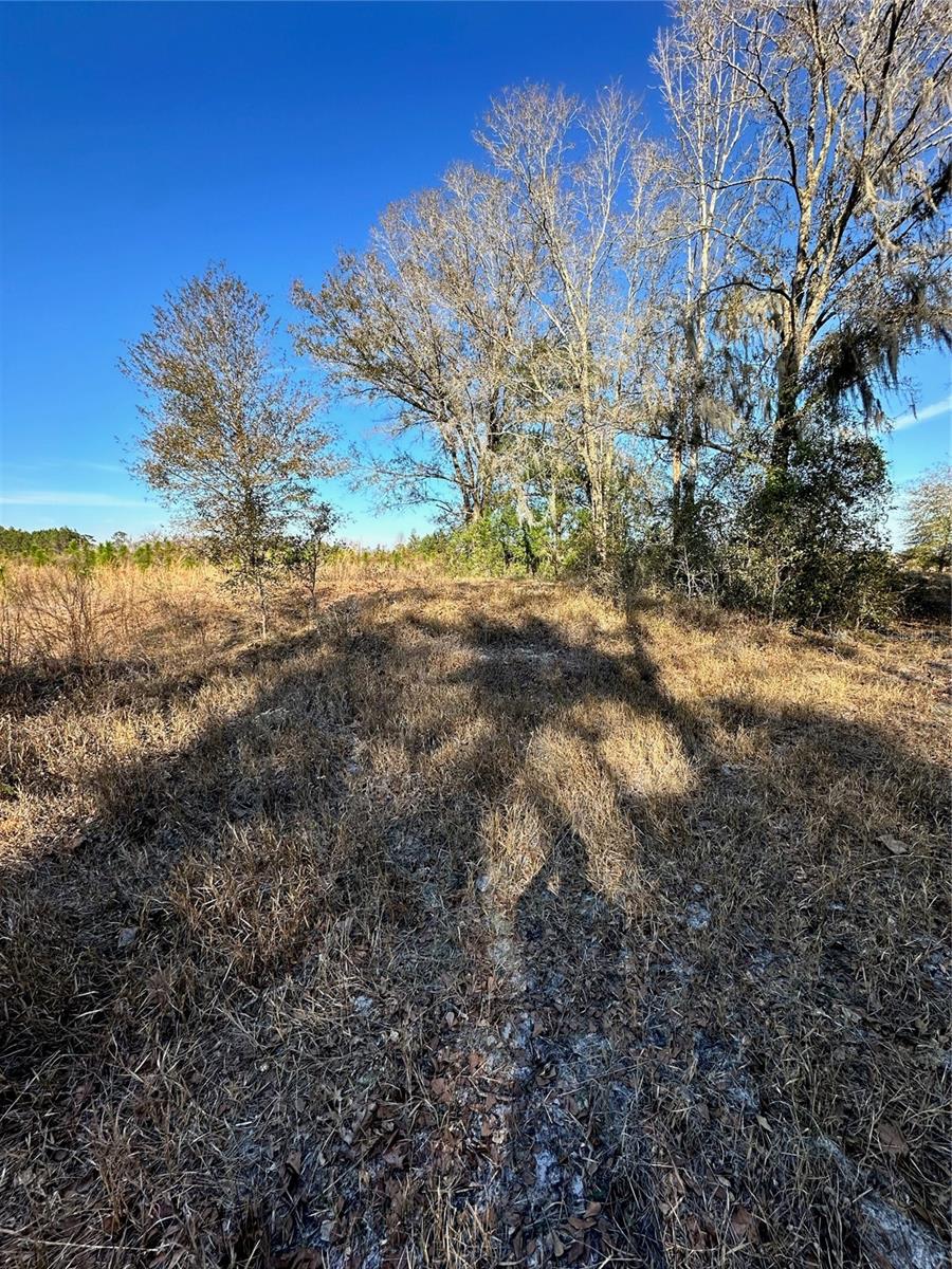 00 COUNTY ROAD 1471 RD, WALDO, FL, 32694