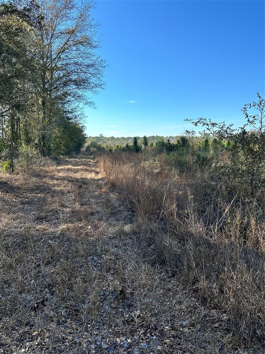 00 COUNTY ROAD 1471 RD, WALDO, FL, 32694