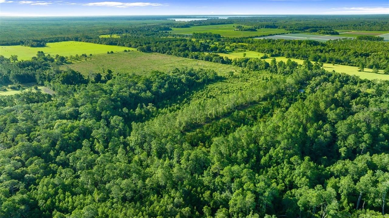 00 COUNTY ROAD 1471 RD, WALDO, FL, 32694