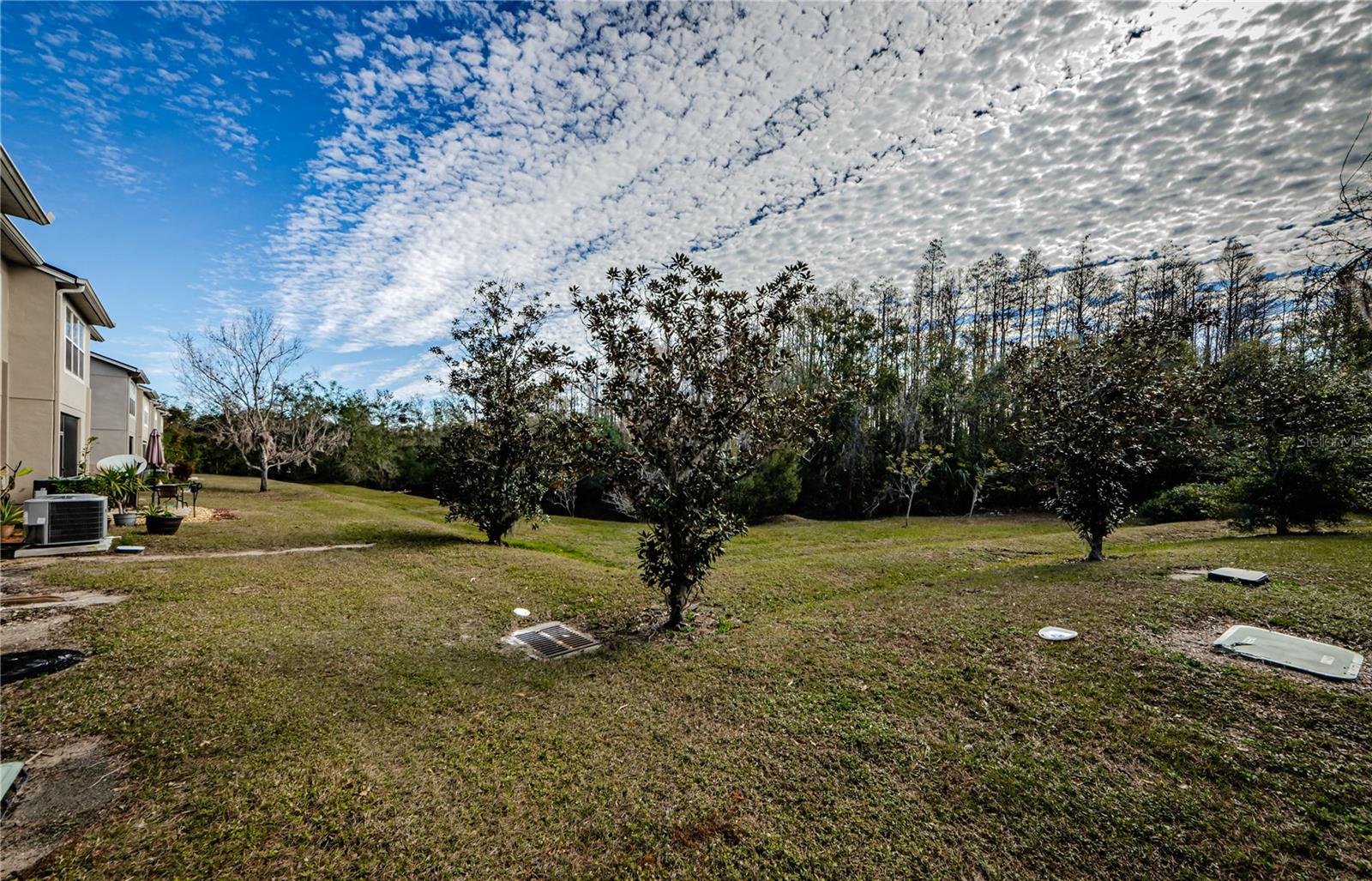 10425 WESTPARK PRESERVE BLVD, TAMPA, FL, 33625