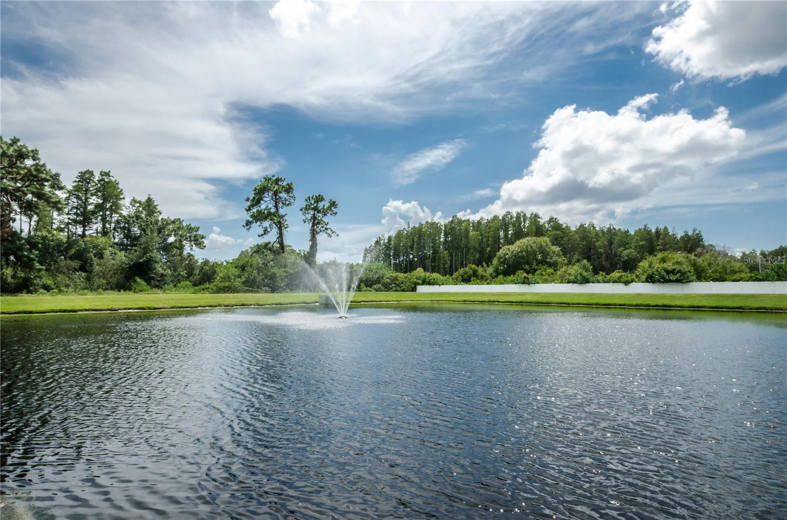 10425 WESTPARK PRESERVE BLVD, TAMPA, FL, 33625