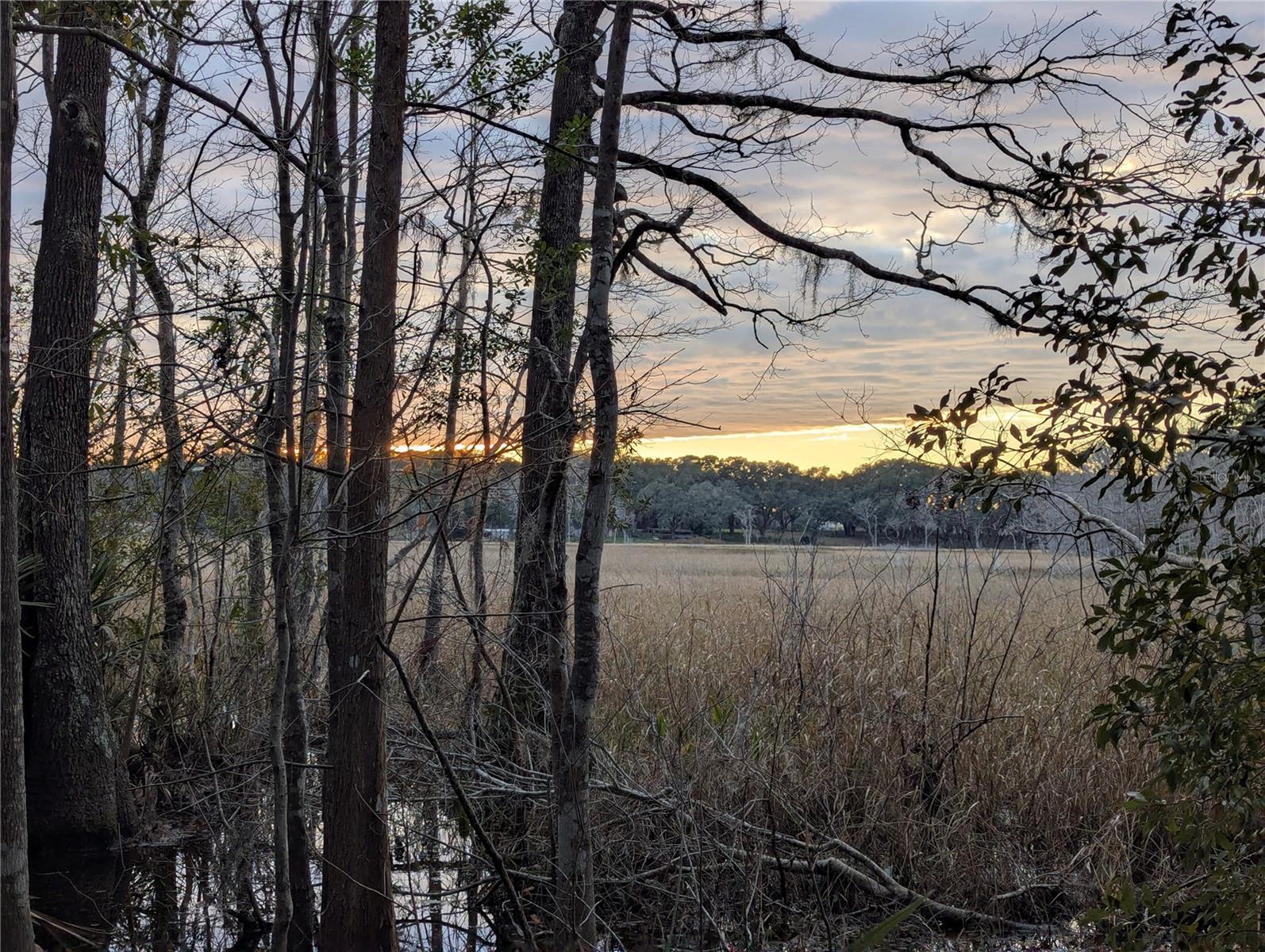 9100 SE 180TH AVENUE RD, OCKLAWAHA, FL, 32179