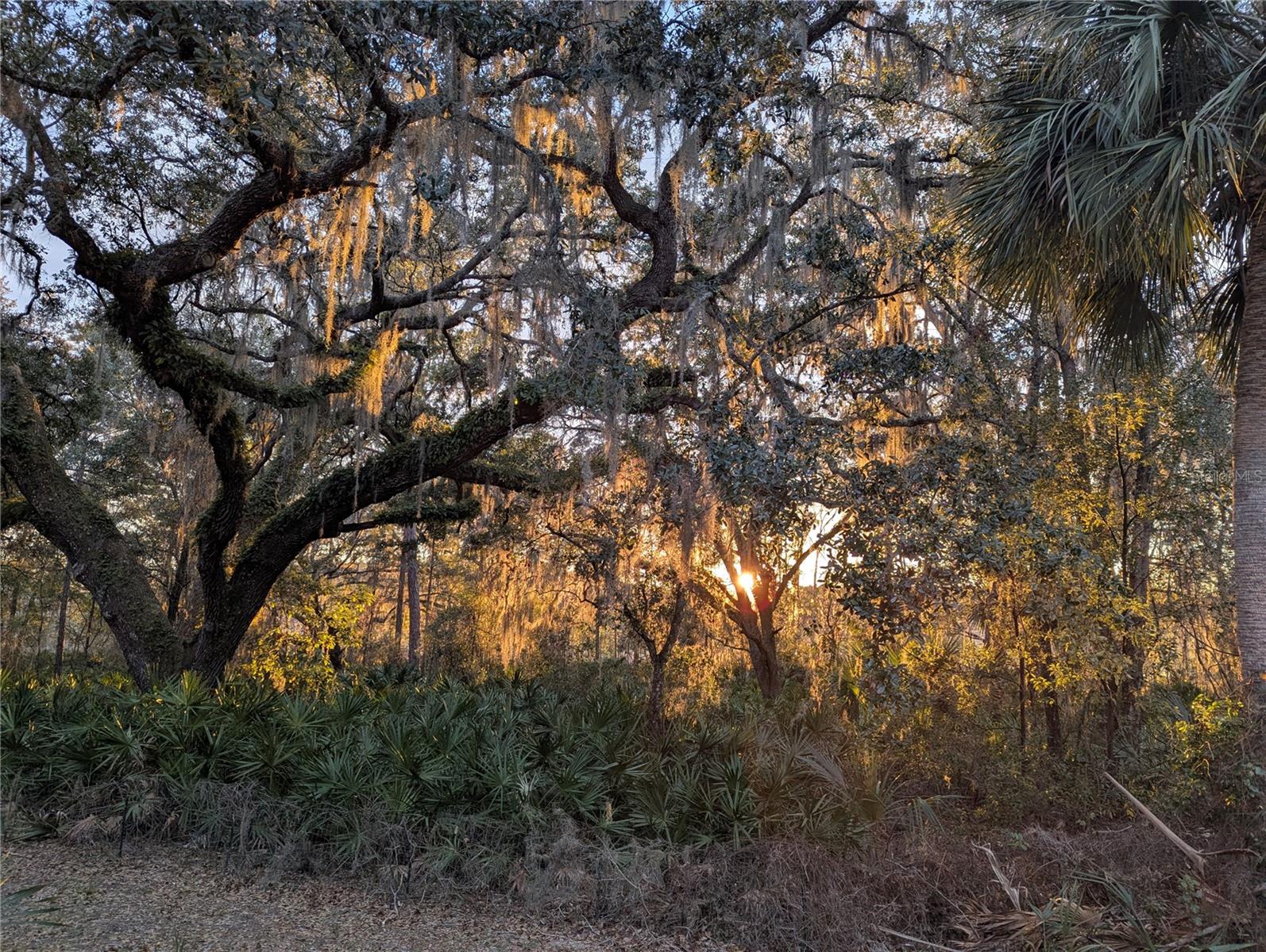 9100 SE 180TH AVENUE RD, OCKLAWAHA, FL, 32179
