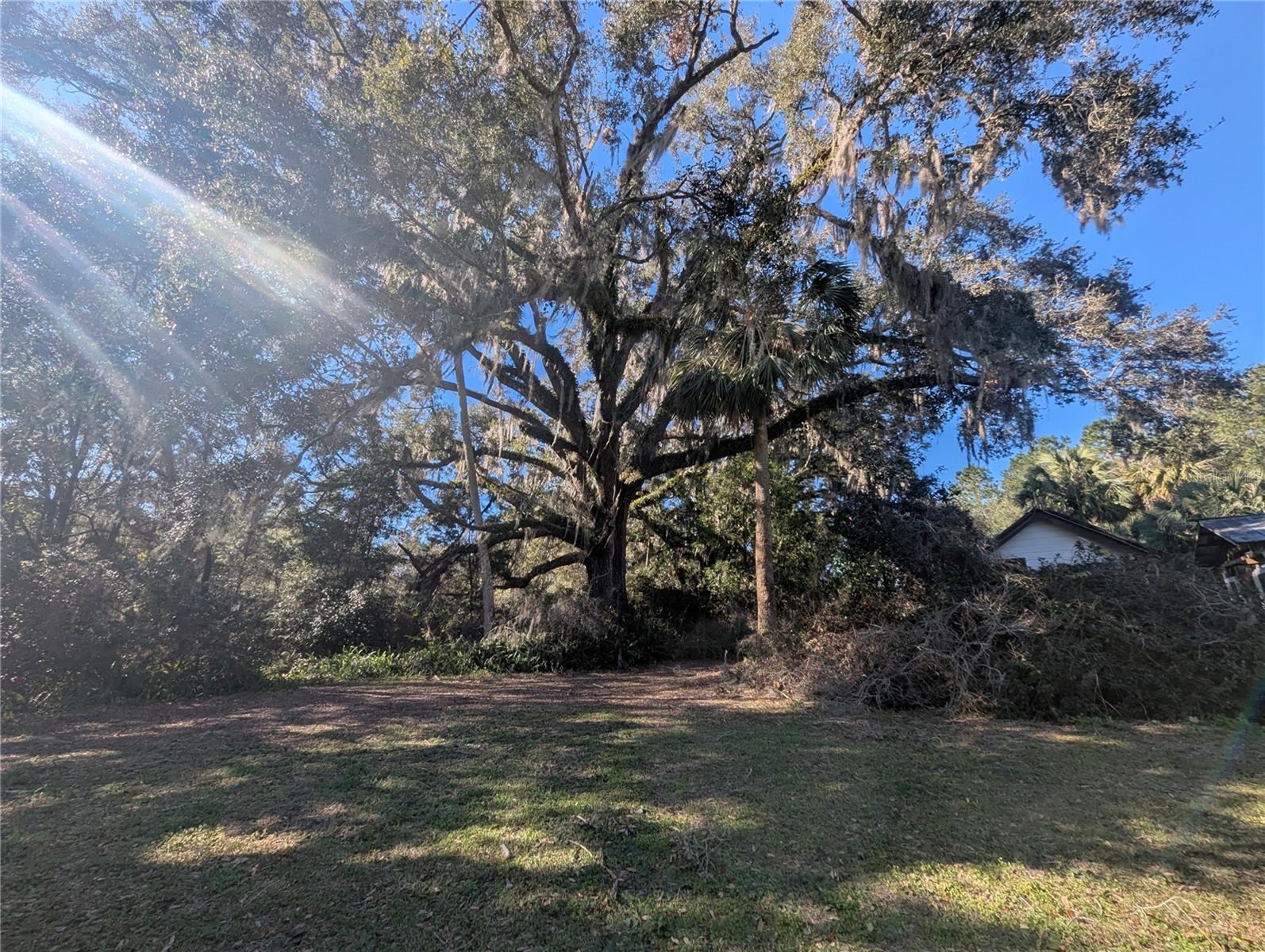 9100 SE 180TH AVENUE RD, OCKLAWAHA, FL, 32179