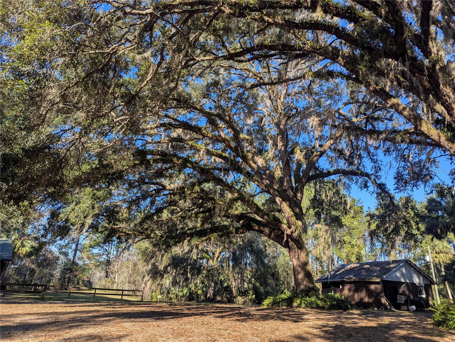 9100 SE 180TH AVENUE RD, OCKLAWAHA, FL, 32179
