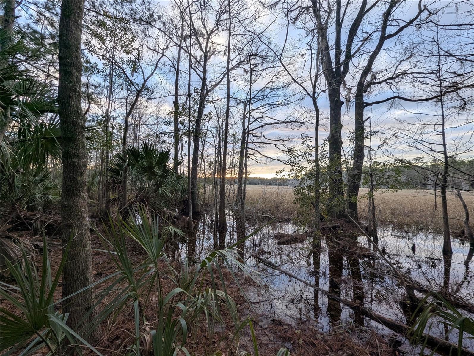 9100 SE 180TH AVENUE RD, OCKLAWAHA, FL, 32179