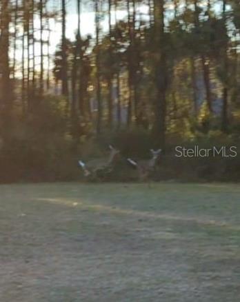 9100 SE 180TH AVENUE RD, OCKLAWAHA, FL, 32179