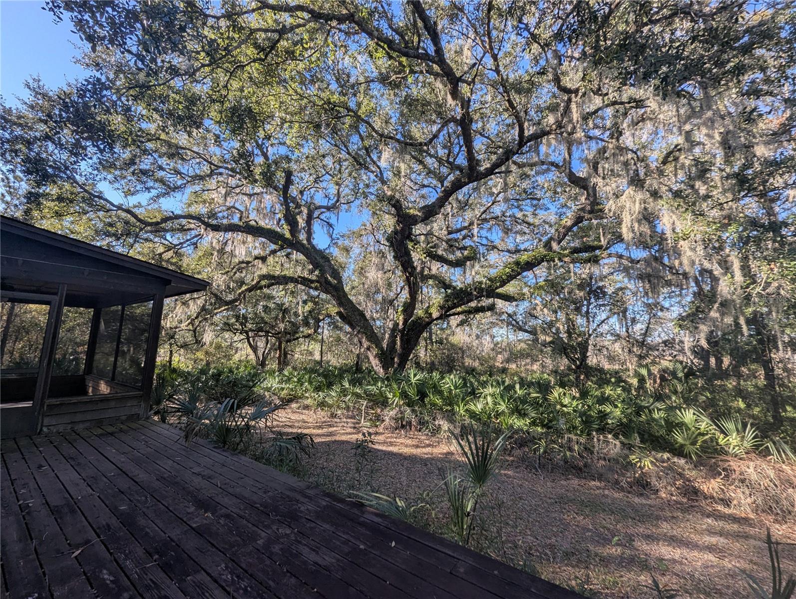 9100 SE 180TH AVENUE RD, OCKLAWAHA, FL, 32179