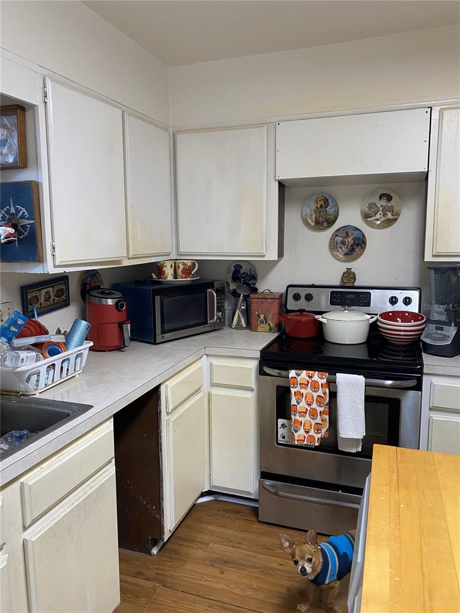5302 BURNING TREE DR #F-02-2, ORLANDO, FL, 32811
