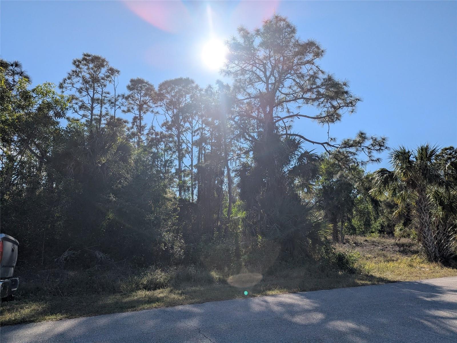 12153 BORAX AVE, PUNTA GORDA, FL, 33955