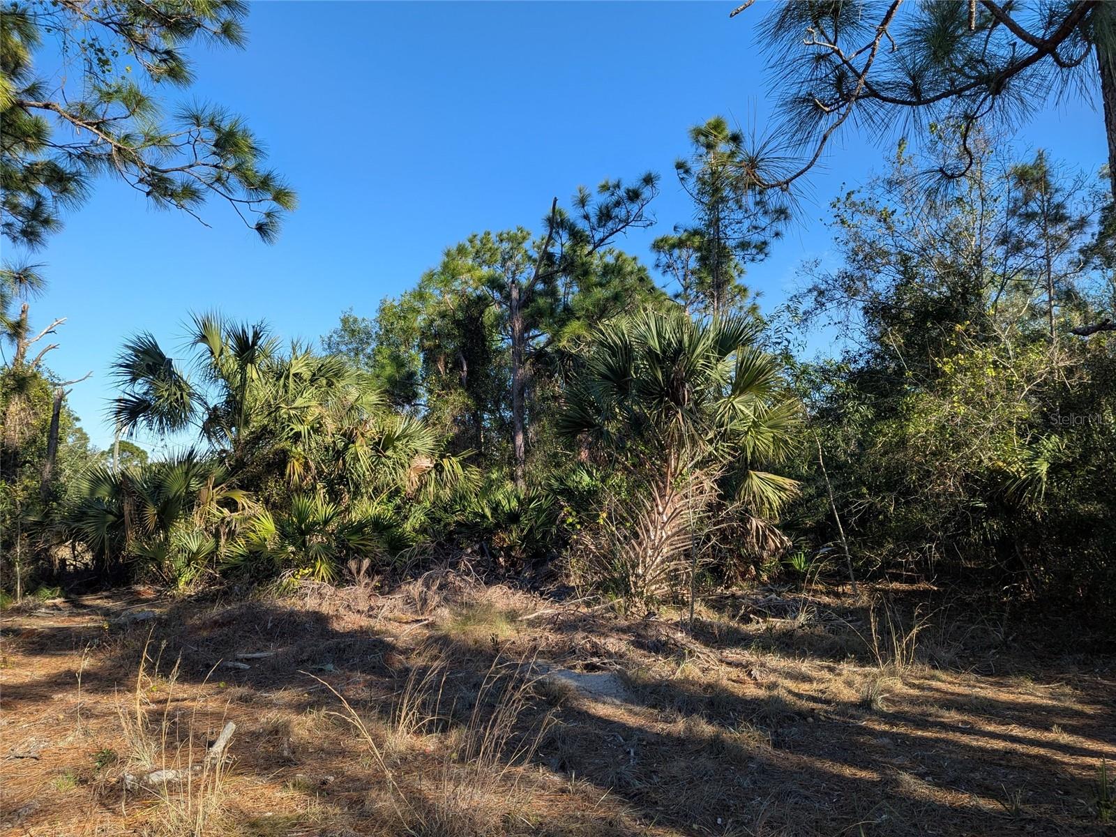 12153 BORAX AVE, PUNTA GORDA, FL, 33955