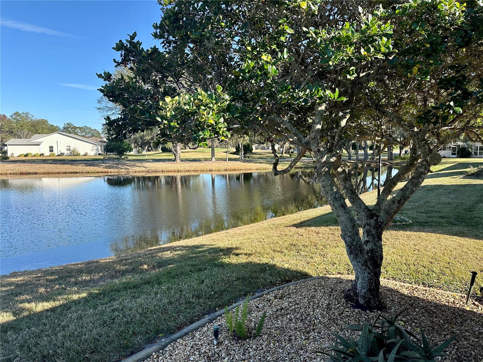 32728 TIMBERWOOD DR, LEESBURG, FL, 34748