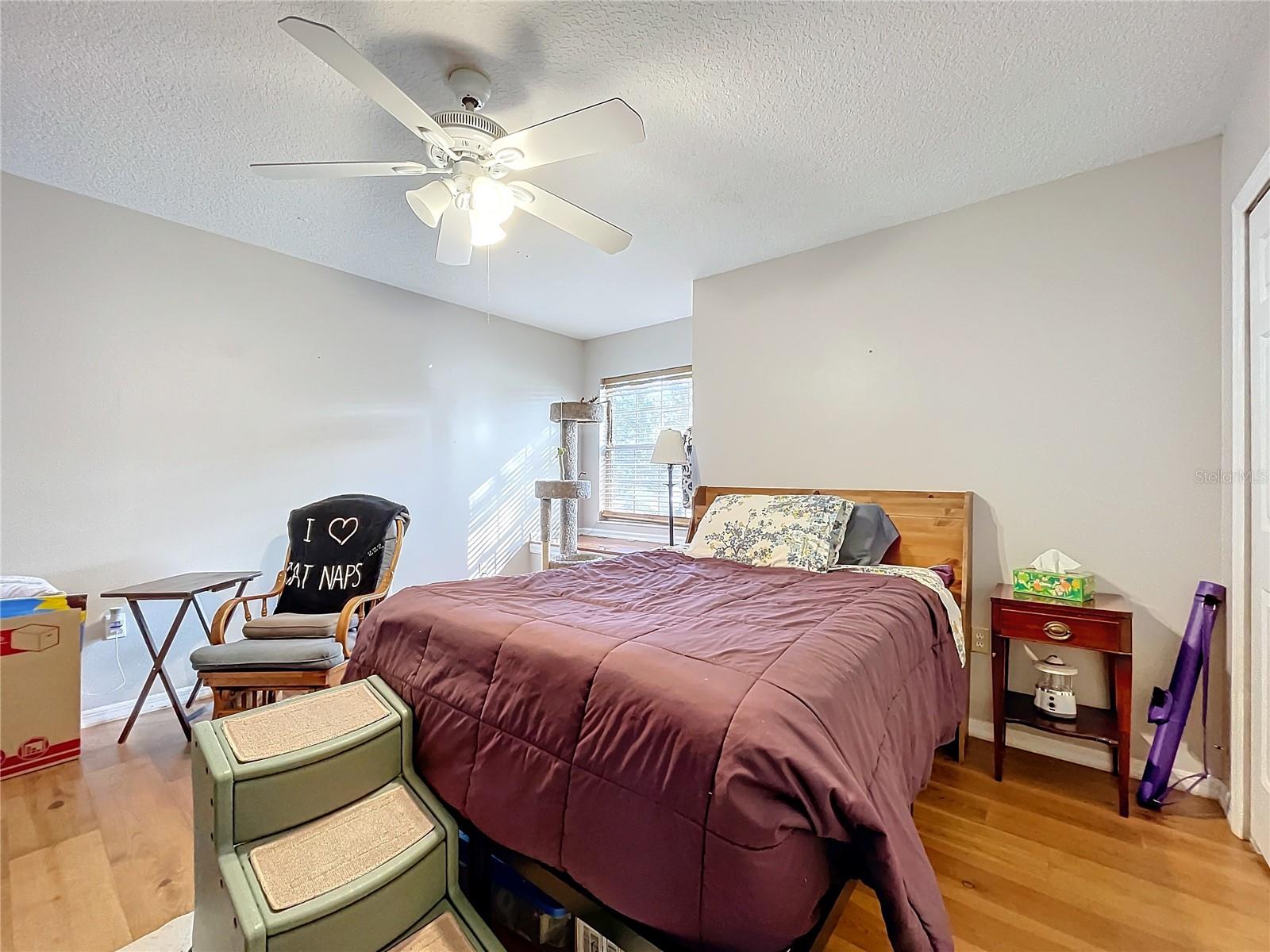 32531 WOLFS TRL, SORRENTO, FL, 32776