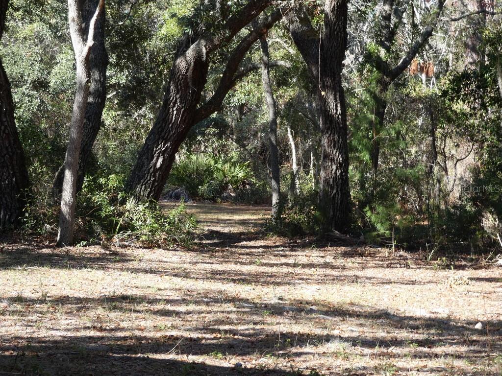 18227 BRANCH RD, HUDSON, FL, 34667